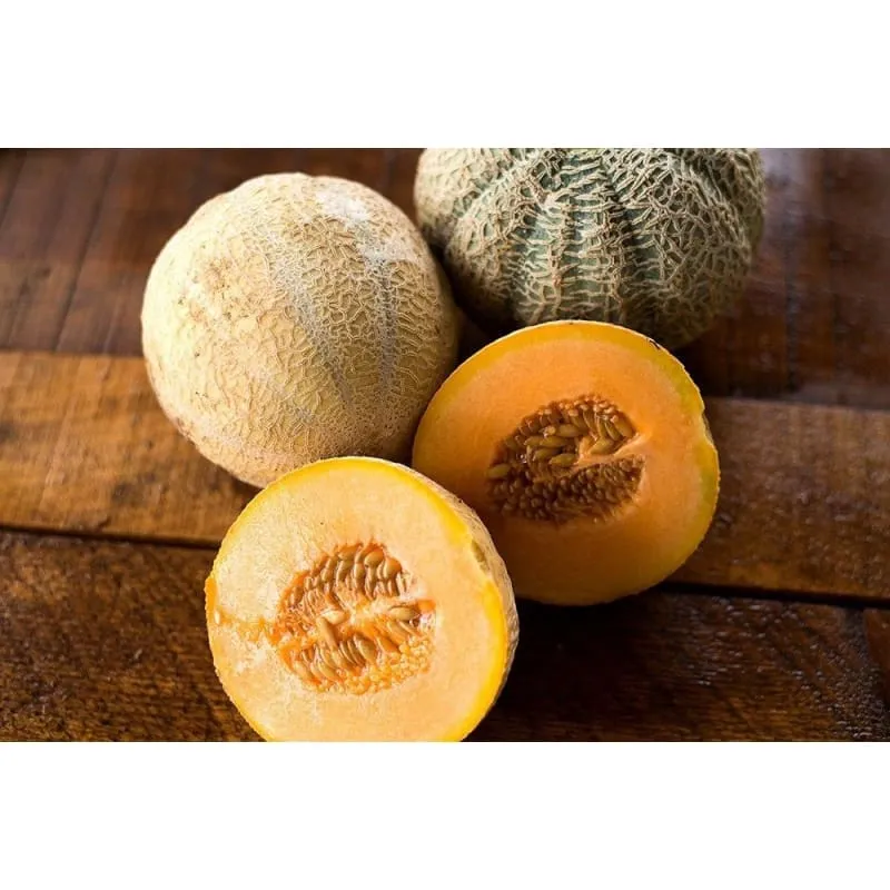 Halona Melon (F1 Hybrid 74 Days)