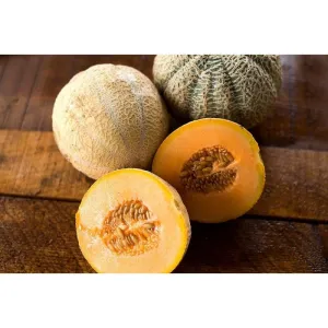 Halona Melon (F1 Hybrid 74 Days)