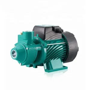 QB70: Volumetric Pump 0.75 HP